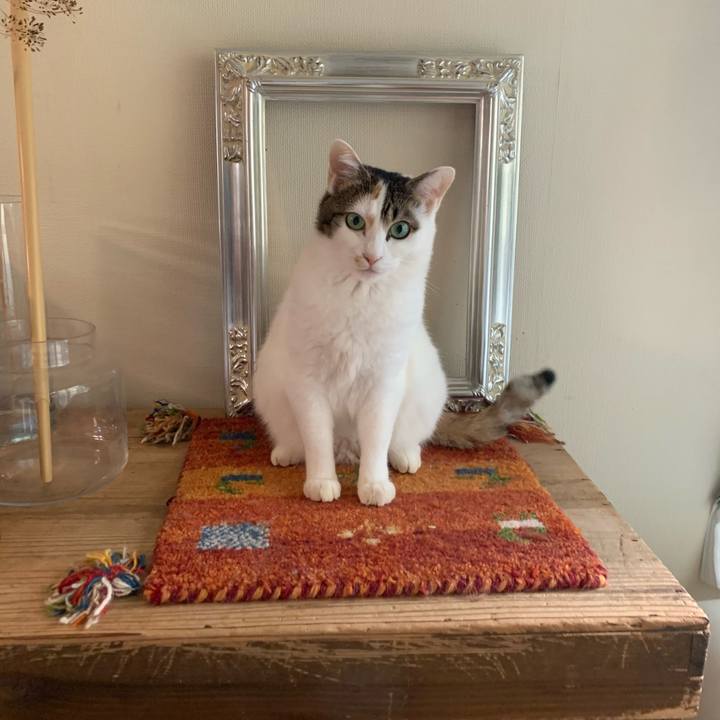 3abcee77 4207 4375 b40b df7260f796f6 1667777293197