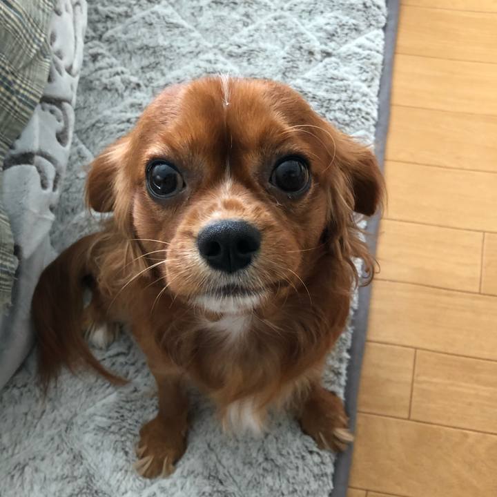 3abcf280 7b40 4e40 b8a7 2afa6a2aaf4c 1542535947899