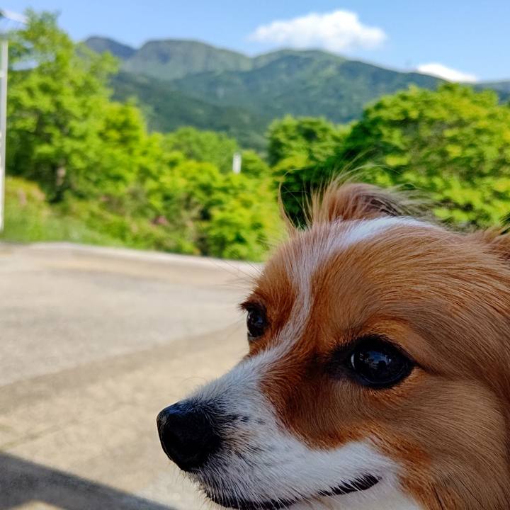 3abd0ea3 914d 439e a096 14d2d2d8f379 1683073990529