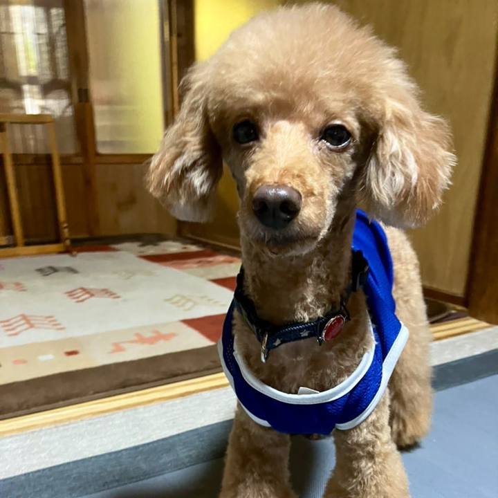 3abd1285 ff0c 42d4 8b63 57f6dadee13d 1688355573560