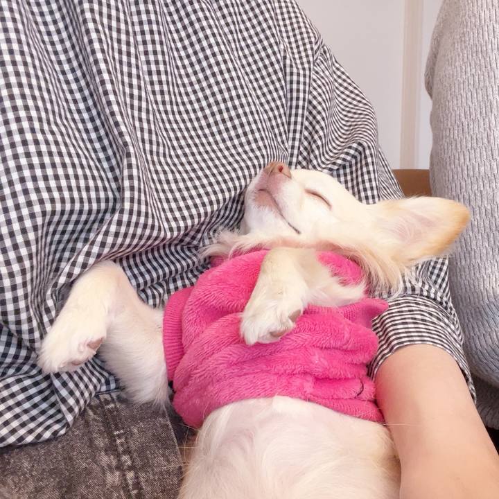 3abd2460 1cd1 4c1f adf0 919c078da14a 1740923911693