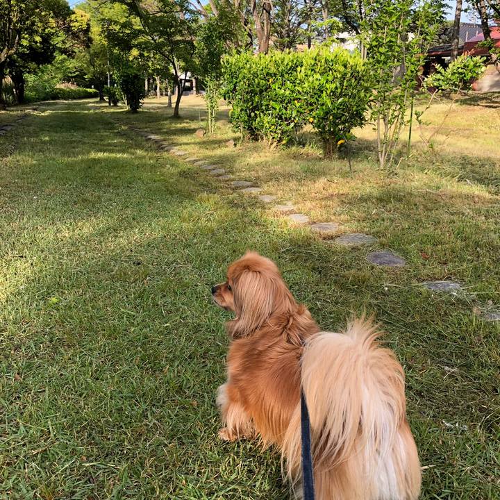 3abd4911 2a6c 4a00 9c2d 3ea235917713 1558477163163