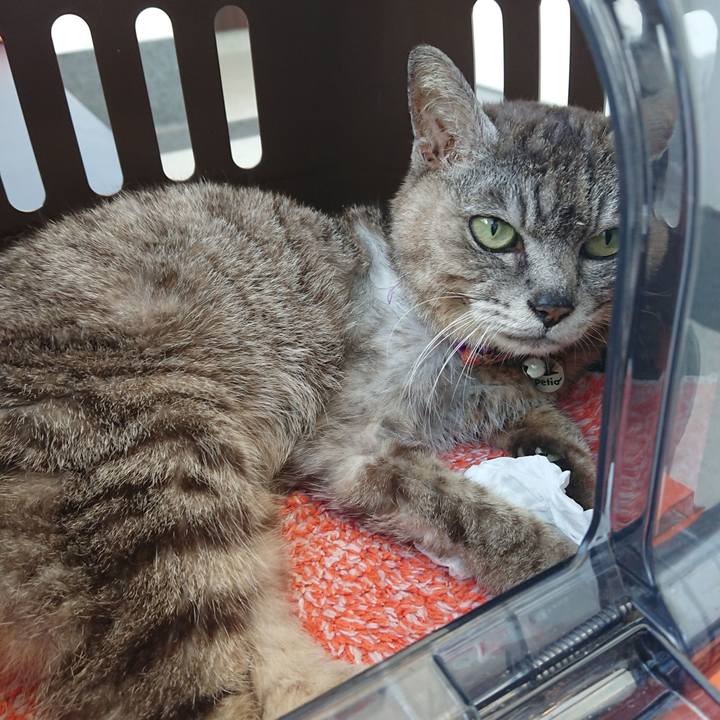 3abdb5aa e6d4 4552 83cd c78b0179ce65 1598233192800