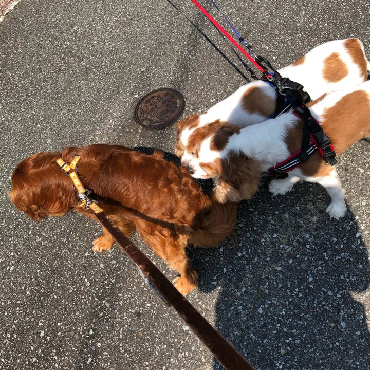 3abdd1d2 0d23 4860 be7e 0ae053d23991 1621729057778