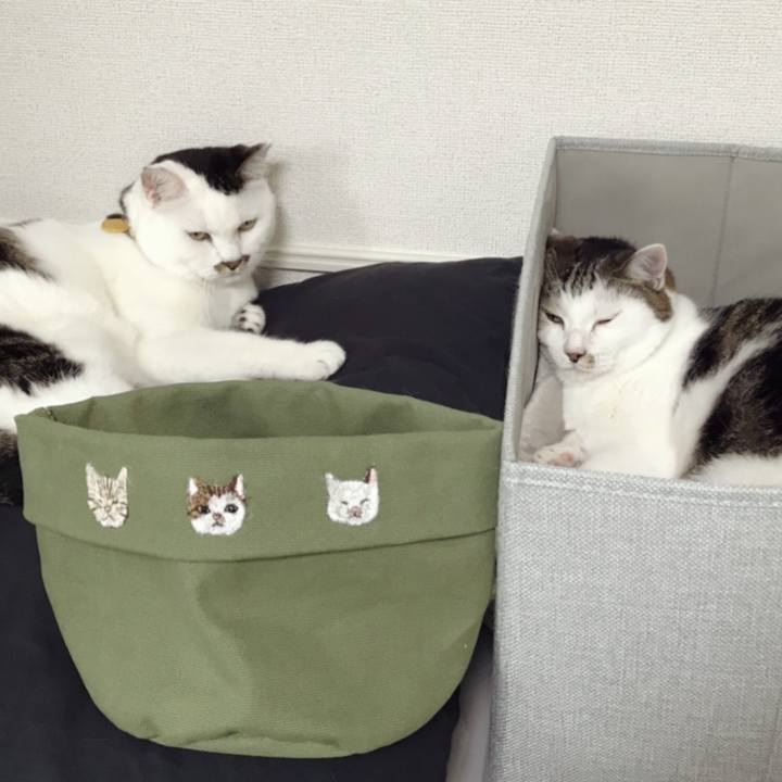 3abddcf2 0771 41ea 9c70 95c8ca4bd206 1569303474620