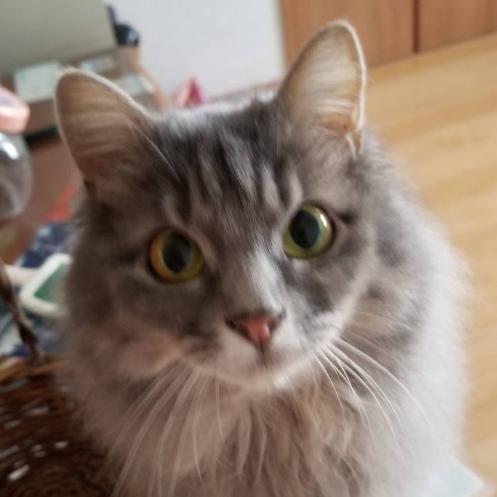 3abdf5bb 5b34 4035 9c31 12c3b7ab1a9d 1543727589096