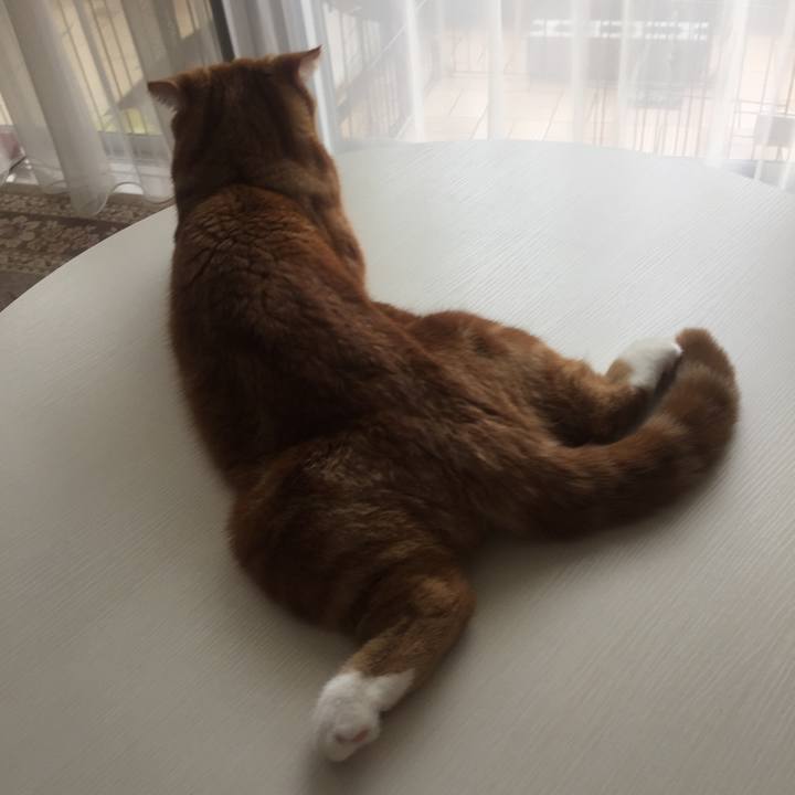 3abe05cf 63be 46ed 9d52 e92e8c8beeb6 1532563880942