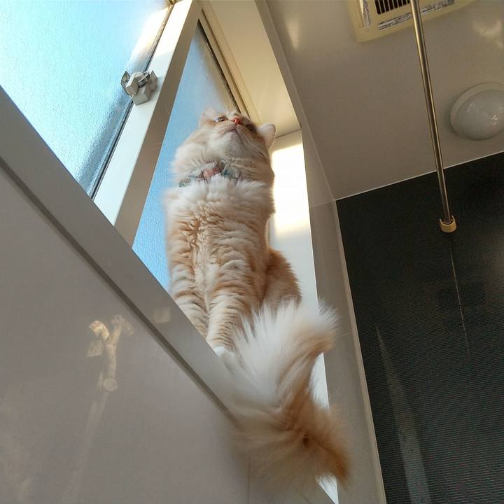 3abe0e51 7cfd 482a 8b37 4e5bd4110ff4 1643011544434