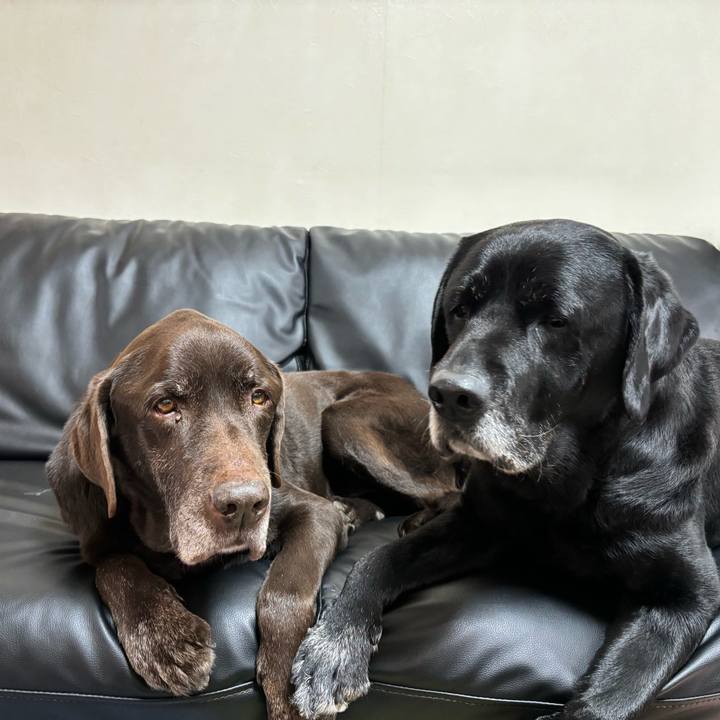 3abe0e6b d176 42d2 b132 0aead4316a4a 1767433695913