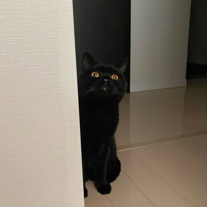 3abe1bd7 ef45 4794 b8ae 80645a53f326 1704284988595