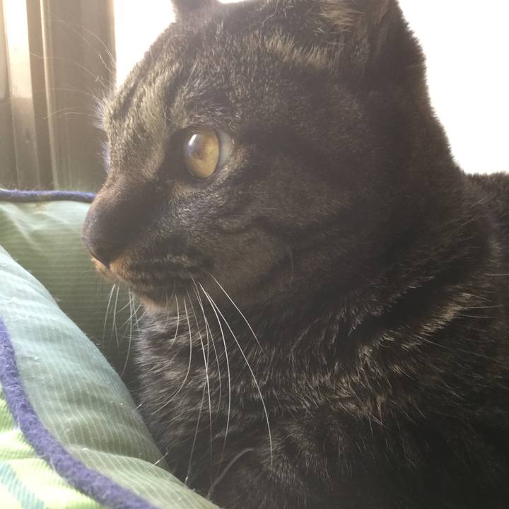 3abe24c0 d8f1 41b6 9ede 5f9b46f2f4b7 1590792751947