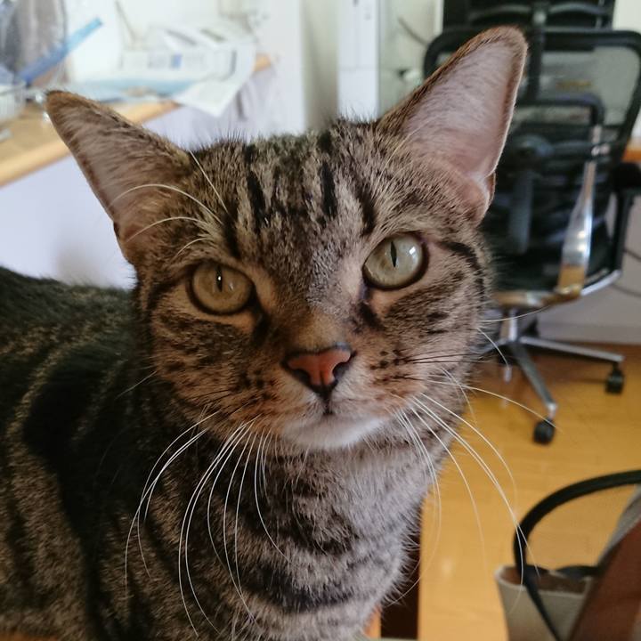 3abe61c5 778b 47ca b351 42bedaf3ec3d 1602657624662