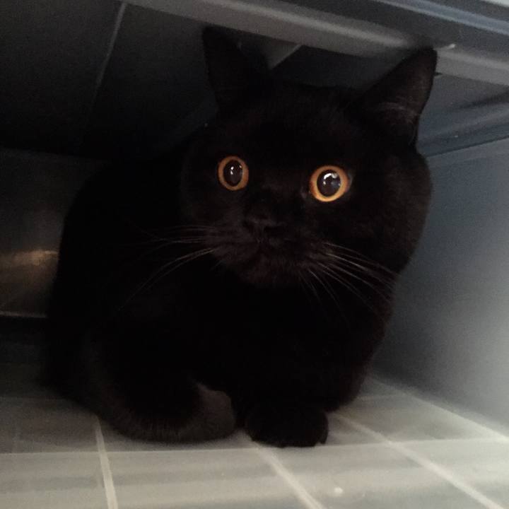 3abe6820 37d0 420c 9383 87d504c802c9 1578920887516