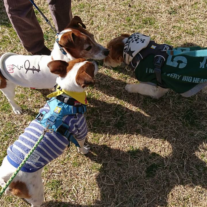 3abe90ba 6c15 4271 9bb5 fbdb9d85f2ca 1614071638865