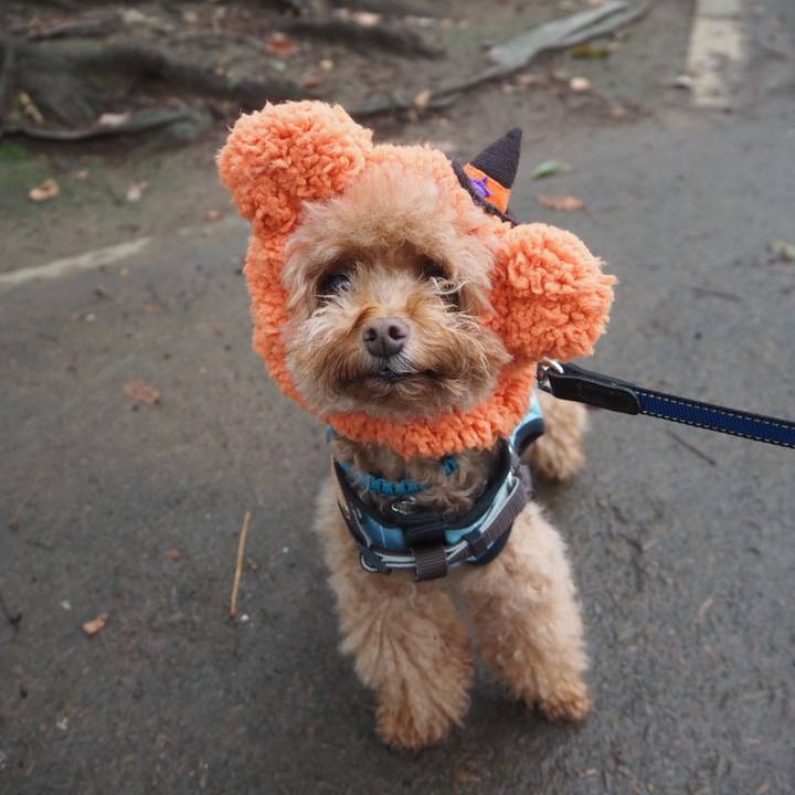 3abea6ea 3a57 44e1 b376 64ea5740325e 1509453579766