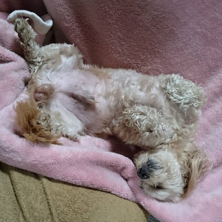 3abeaac1 1816 46e4 a276 aec6b90222cc 1522502088565