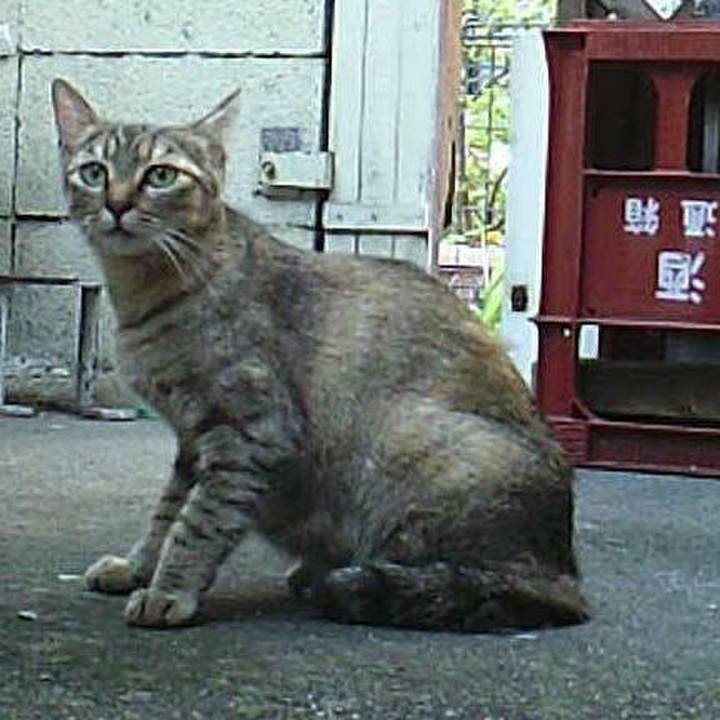 3abf7639 709b 450d 9657 c19e1409146c 1549030239303