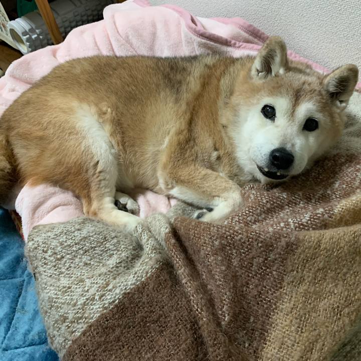 3abf939b 831d 4c9d ba72 961afca1af60 1675896311390