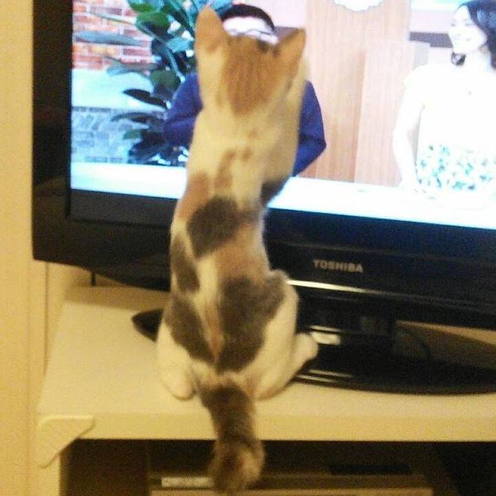 3abfa27e 34f3 40f2 8e7d 1e1bb88ce59c 1571615018191