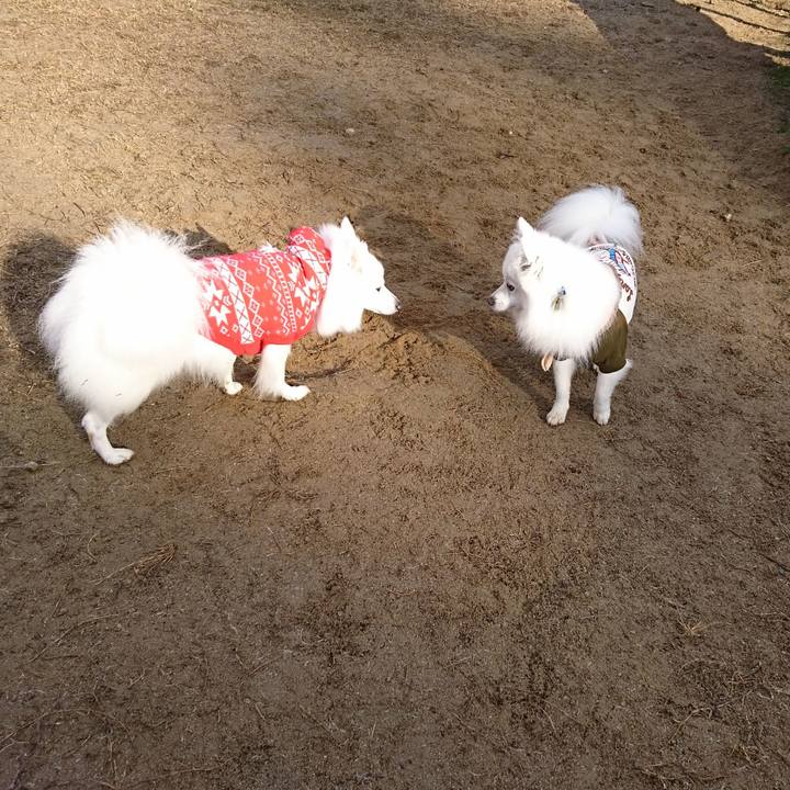 3abfb142 0cd2 42ef 88e3 0a8d5d3a3924 1546573855410