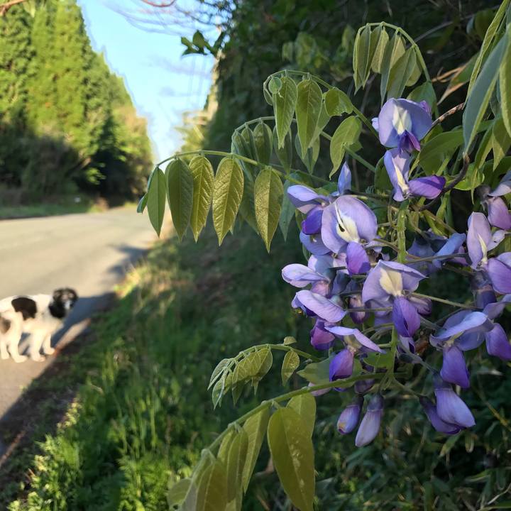 3abfb26e a0b3 443e 97ff 45d3aa7efa82 1524319914611