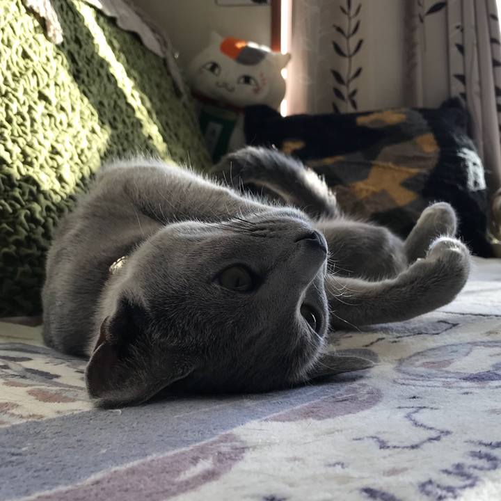 3abfb303 75eb 4b2b 9075 b1f3736eb311 1519221890721