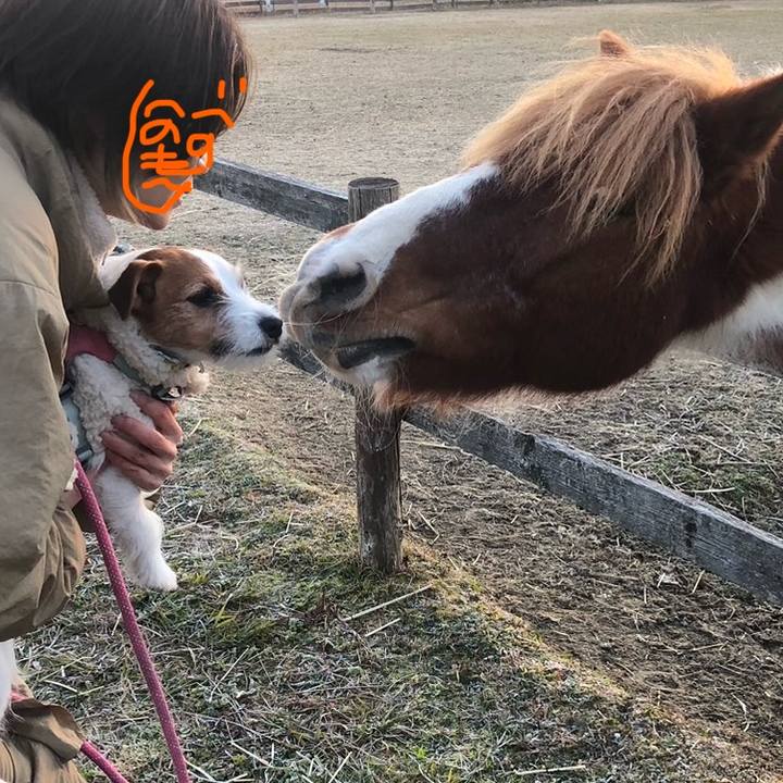 3ac06bbd fe16 49ca 879b 4bc368f3d22e 1767270169964