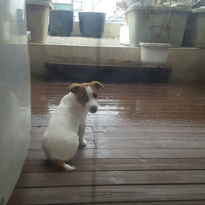 3ac096ab 6b1a 4b12 ace9 92c3eda4454a 1551938825090