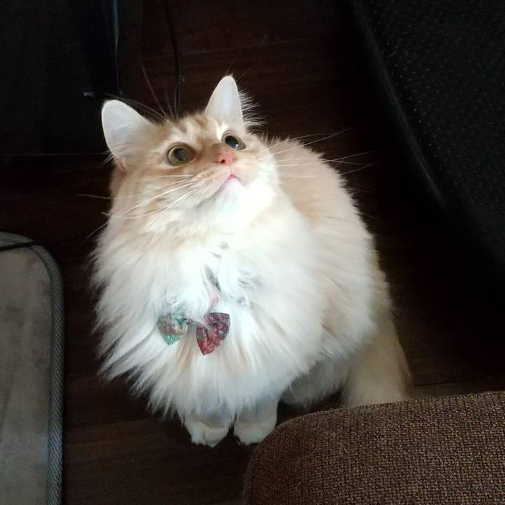 3ac0a6a6 7b7f 430a 8245 e7de9827724a 1651445022660