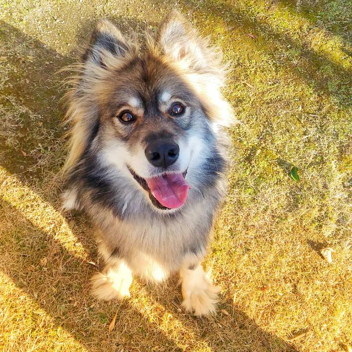 3ac0c159 e00f 42ef b9d3 a38f53e7306c 1546413145901