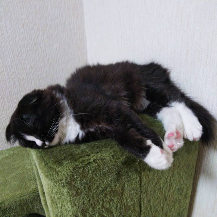 3ac0d12b 6361 4310 8f86 84509945a755 1641088192828