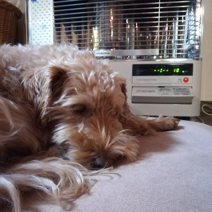 3ac0e328 eab6 4a5c bd5b 1b5b47d8291c 1577654636669