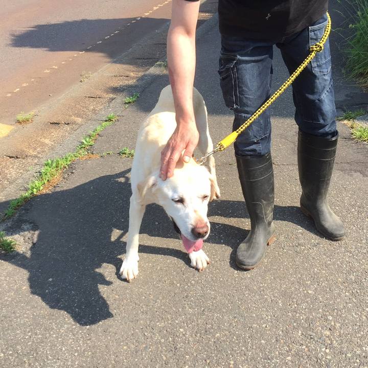 3ac10dd0 dc3d 42c6 836b 7c8c0a317343 1558496344055