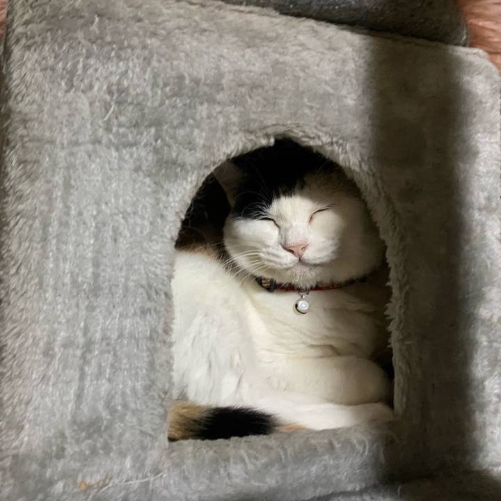 3ac11ef8 6e02 466a ae89 5cf34a089bb9 1666172829978