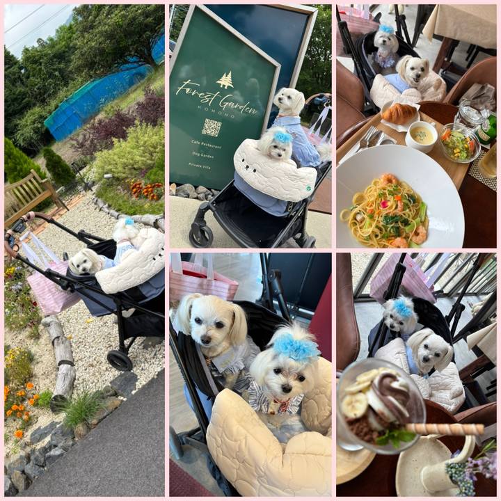 3ac14b15 df68 4519 94cb eff5b8736212 1749813920199