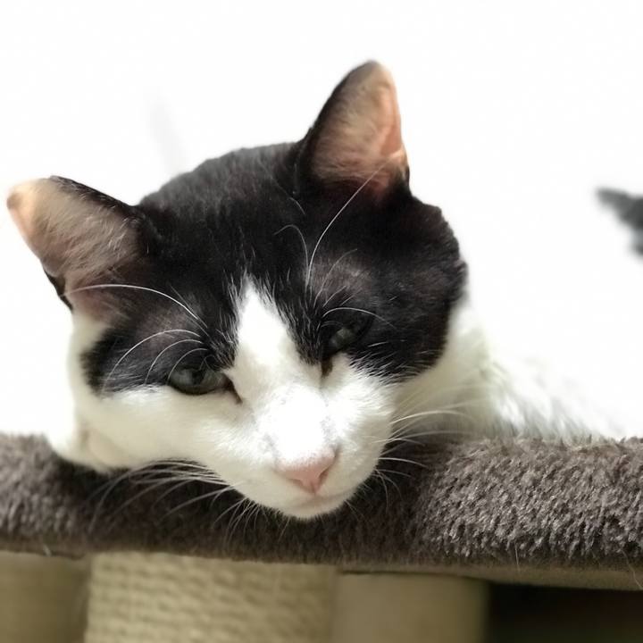 3ac186cd d631 4fae 9ae3 b640a29c5776 1527731888618