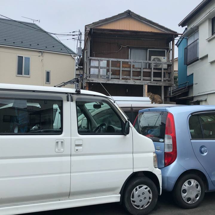 3ac19737 587c 45fb 823d 8b6b9009fb9e 1564045748458