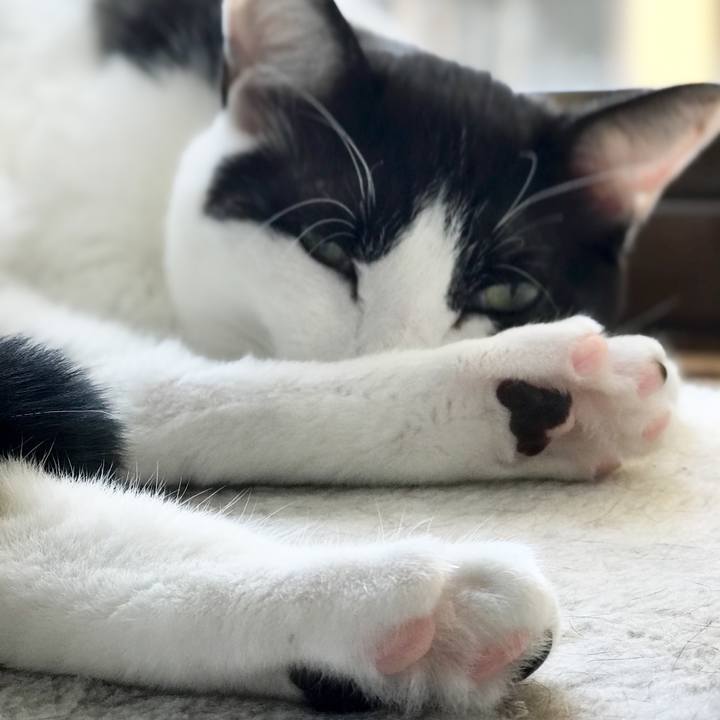 3ac1c8b0 2df8 4ffa aea0 1f74cf40cdeb 1527300173619