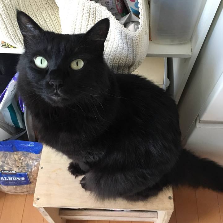 3ac1e87f 02d6 405b 80ef b410fecc0555 1525687259121