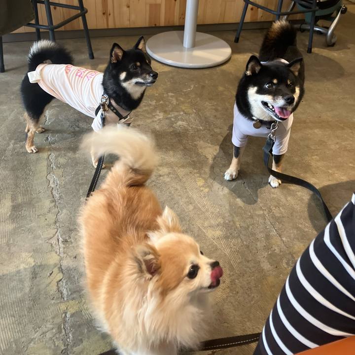 3ac1ea64 1a24 44b8 9beb 8b6c0fa36591 1752906699675