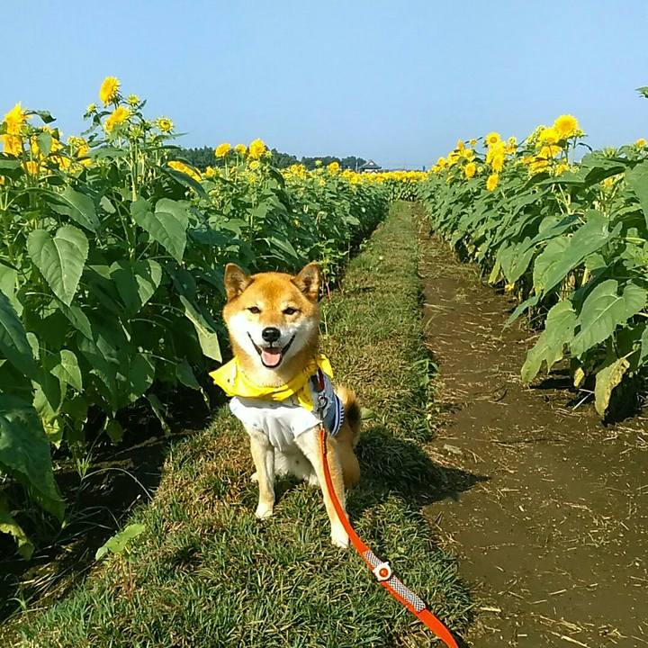 3ac1ff3a 7d8d 4f90 b1d3 c7a74d178af5 1566695491742