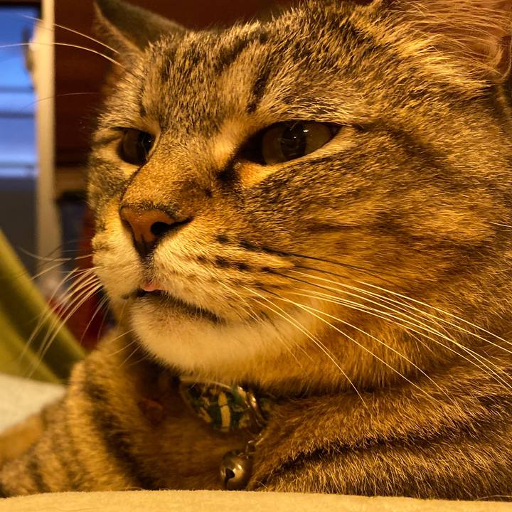 3ac296ff 4297 4296 aad9 293e63395e8d 1574923411340