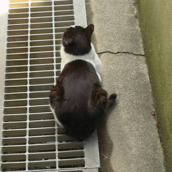 3ac2df9c 38d2 46fb 9df1 6d8136b0e2c3 1524026817496