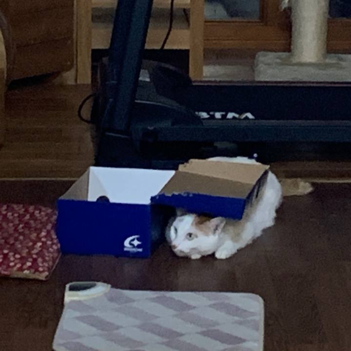 3ac2eb24 3bb8 47da b461 15a8cef7d0c6 1648115761331