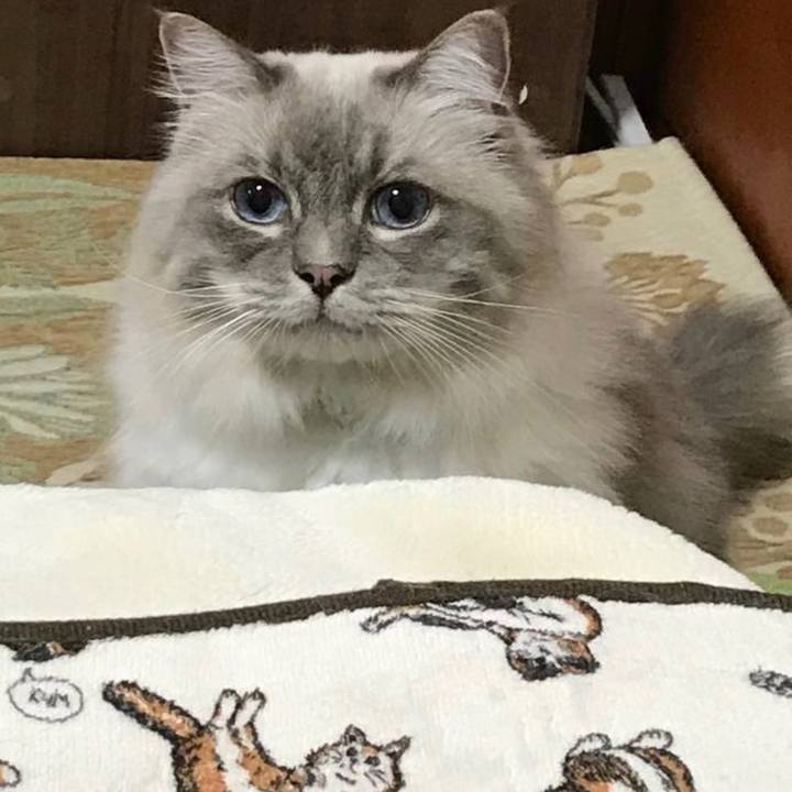 3ac331ff ce64 4a64 b9d9 48c86581431e 1697615458612