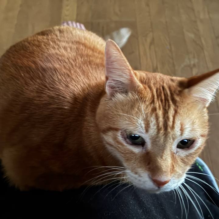 3ac3448a 2b00 4157 90de 282af7188eab 1758617703320