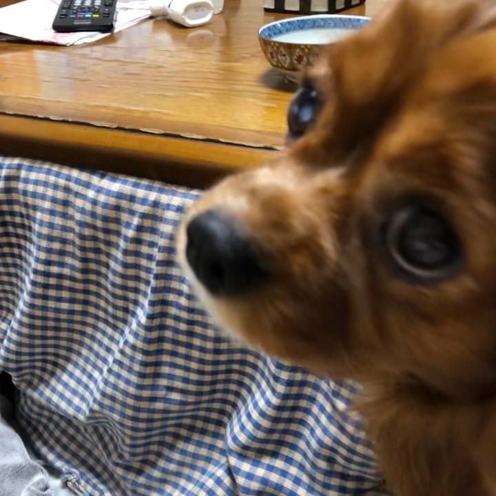 3ac373d6 54ad 4b69 9af6 e3f36c1c41dc 1581775024751