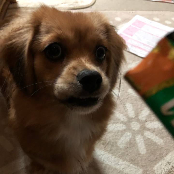 3ac374db 9be3 4e7c 9421 58faaff84276 1508191801407