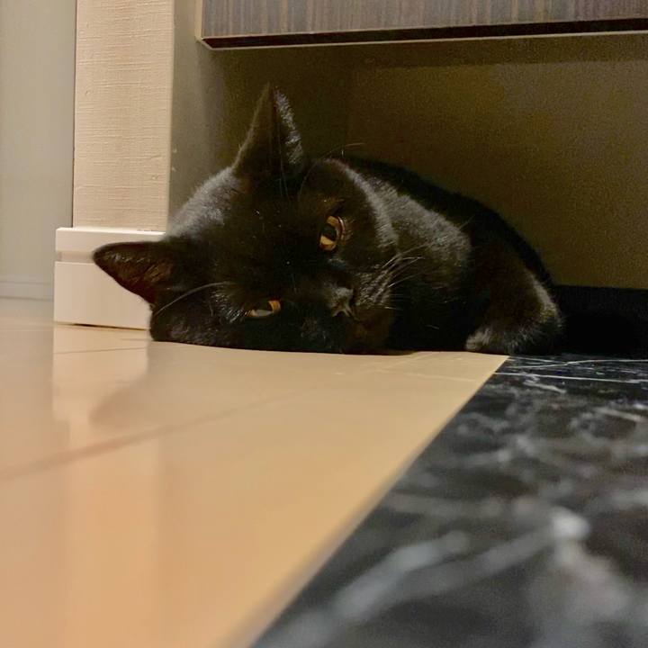 3ac38752 0c20 42d2 8b36 fb16274bfa61 1727180607245