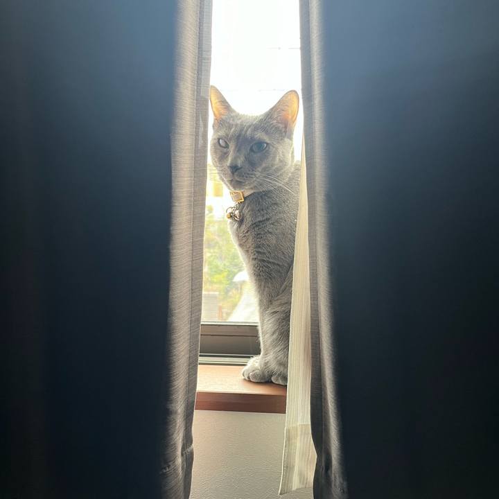 3ac3aaa9 1c6d 41b9 821e b87f538243fd 1711846739539